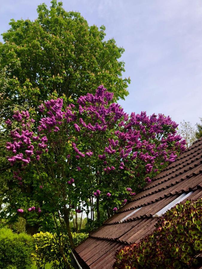 Naturparadies In 奥利希 外观 照片